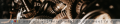 Thumbnail for version as of 00:01, 5 January 2020